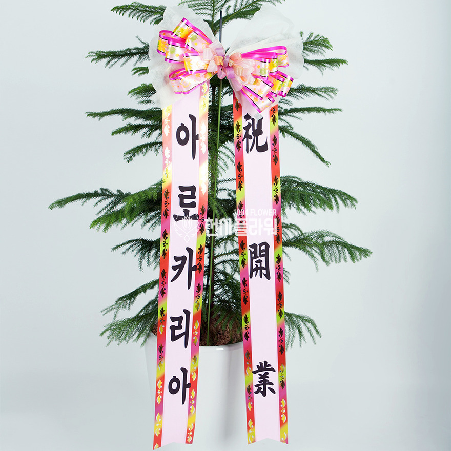 상세이미지