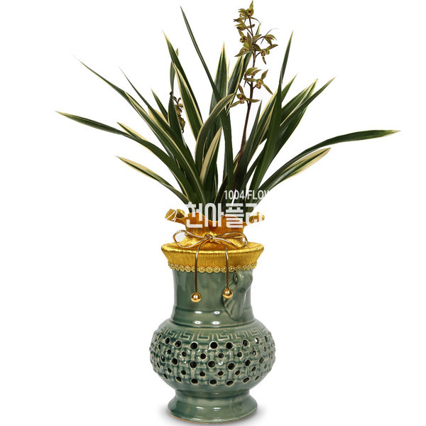 황용금(꽃대) (천사플라워)