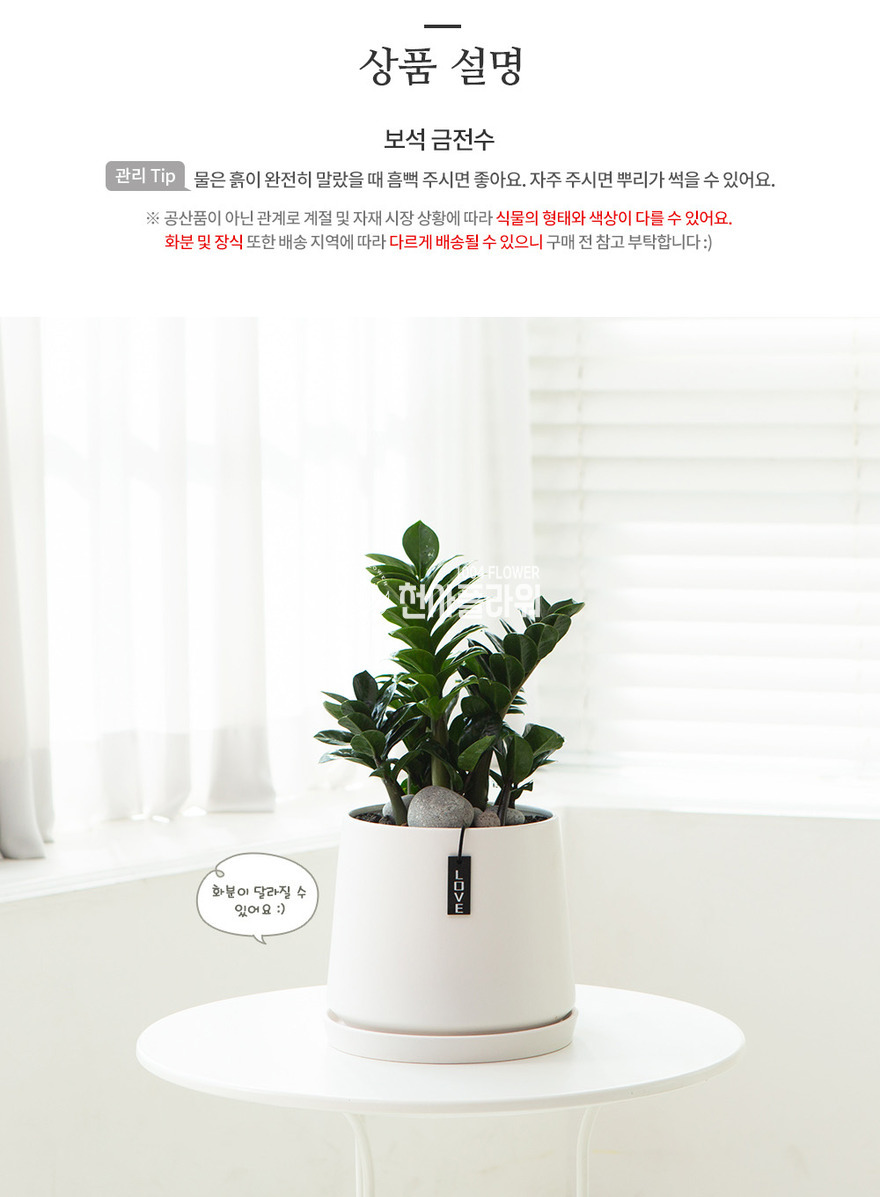 상세이미지