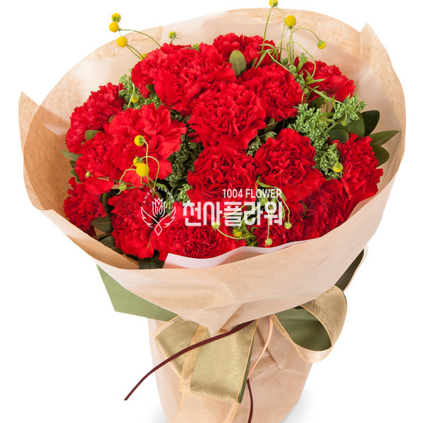 카네이션 꽃다발