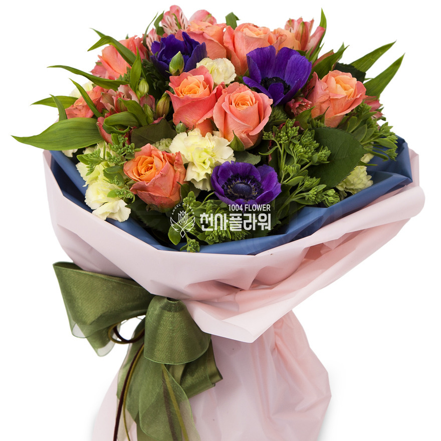 상세이미지