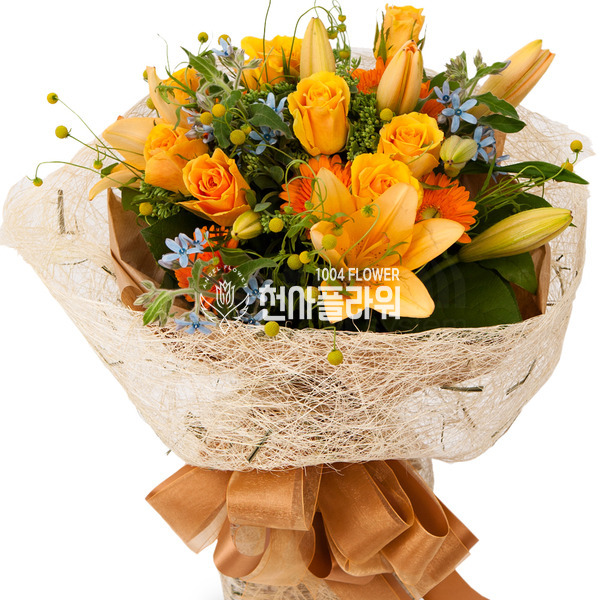 신비한 사람