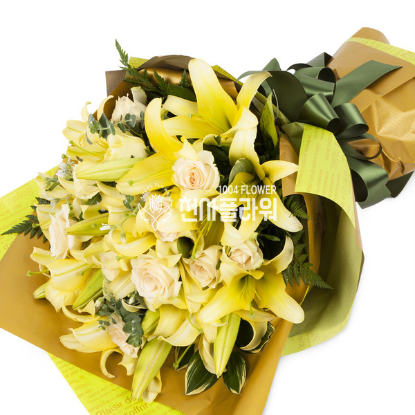 축하합니다