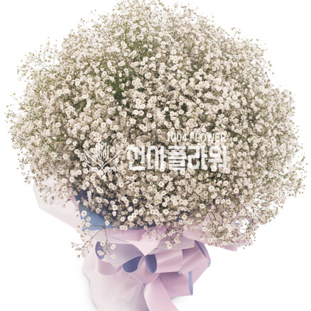 안개꽃다발