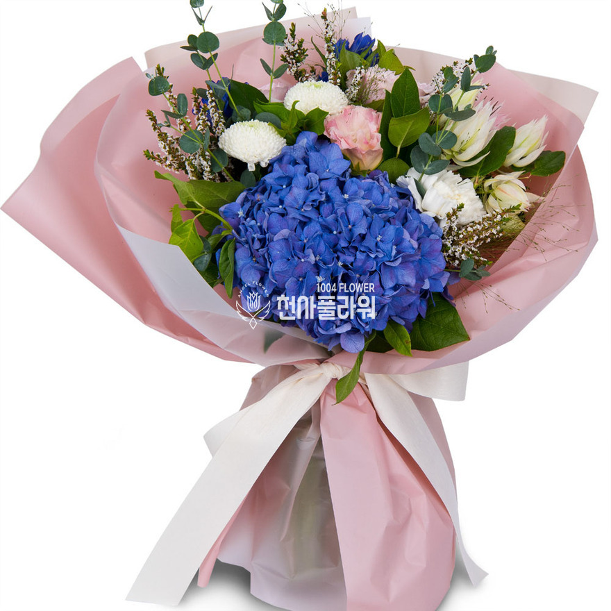 상세이미지