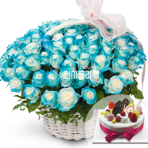파란장미100송이+케잌 a831