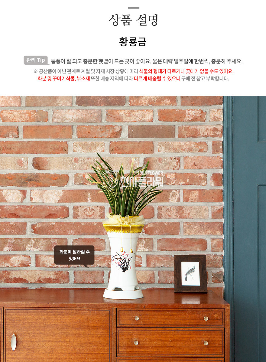 상세이미지