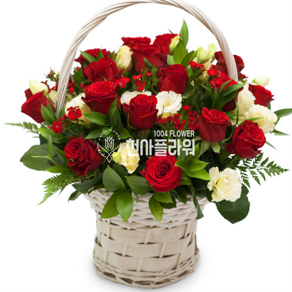 사랑의 파수꾼♥최고인기상품
