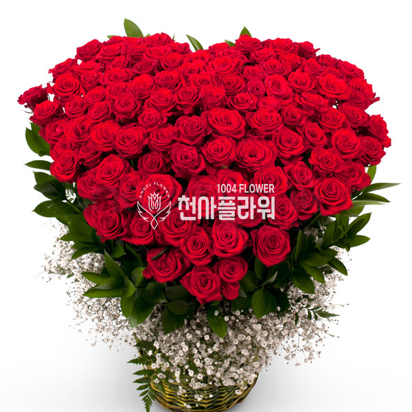 100송이 레드빛 사랑
