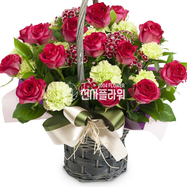 로즈 17호
