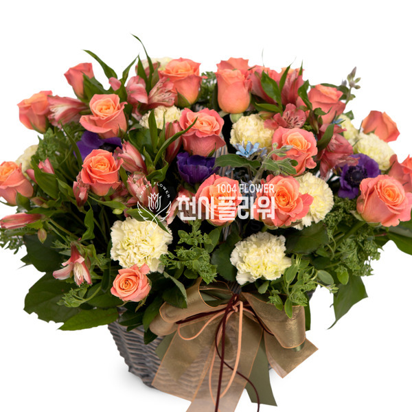 핑크톤바구니