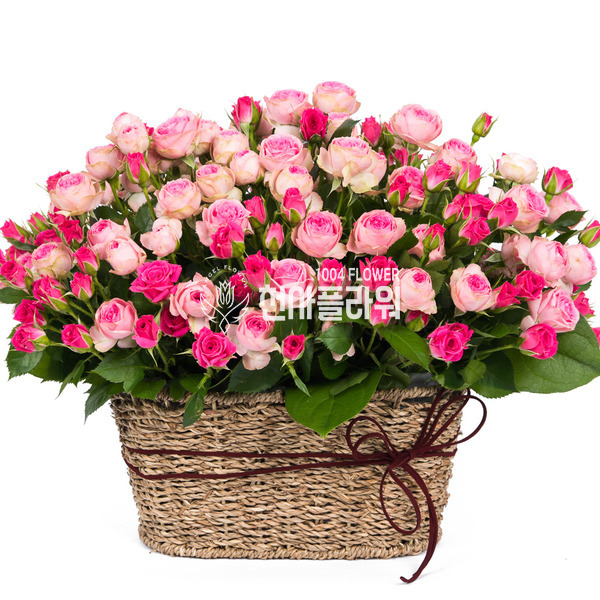 그대를 사랑합니다~♥