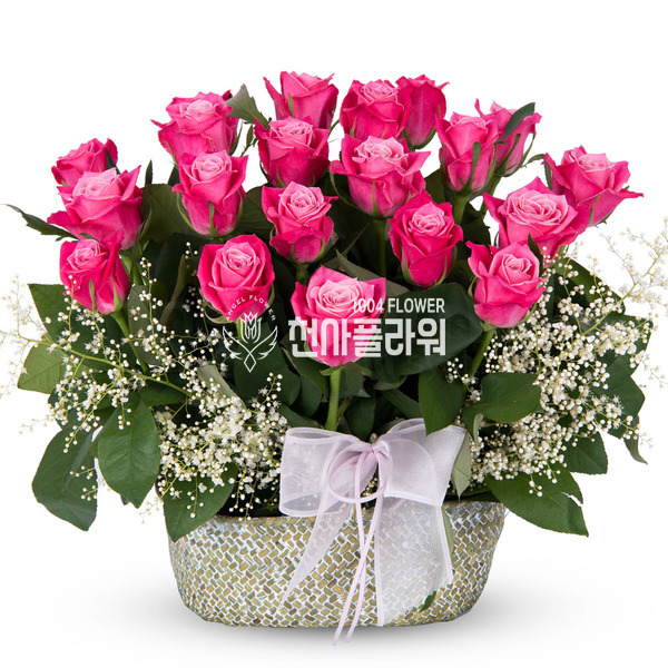 pretty(프리티)
