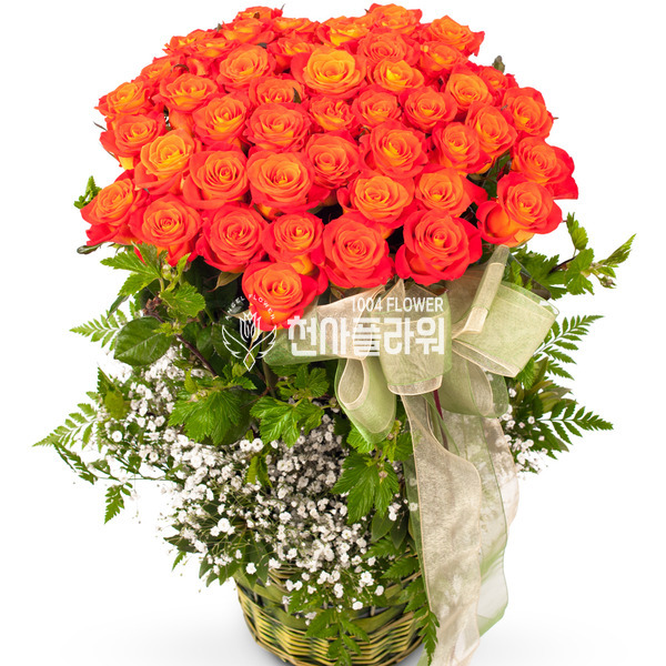 자주색장미바구니