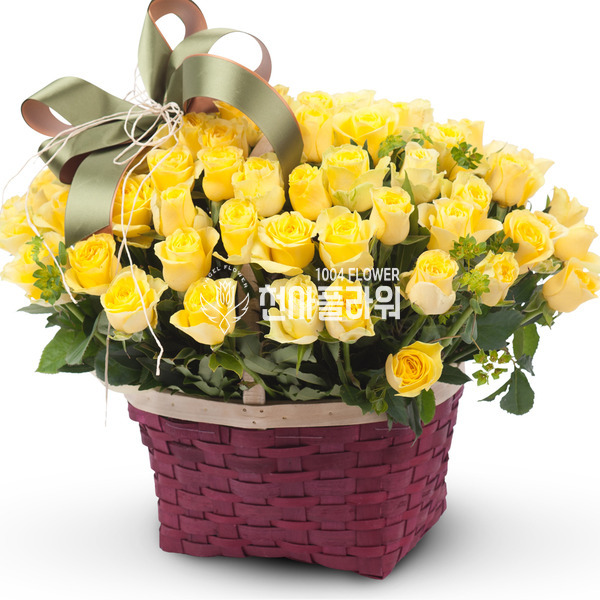 노랑이2