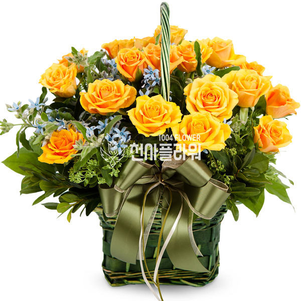 엘로 2호