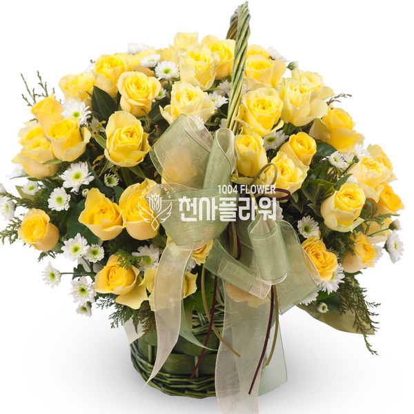 엘로 5호