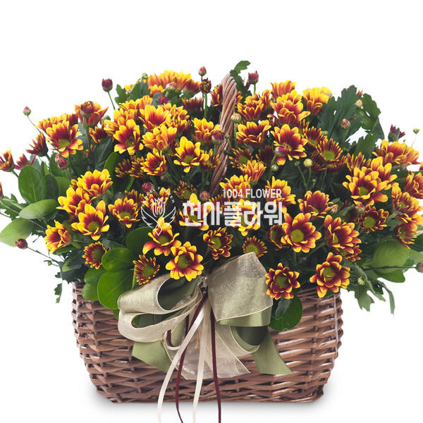델몬트 사랑