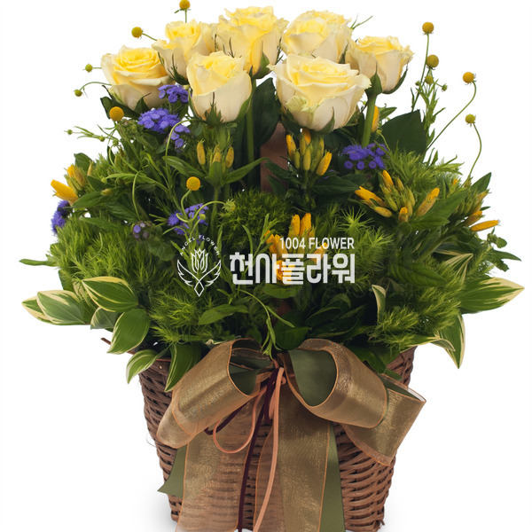 옐로우톤바구니