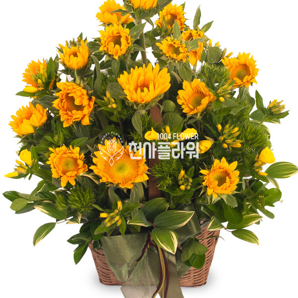 해바라기2