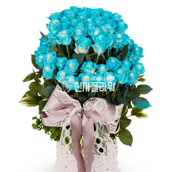 파란장미100송이2단바구니