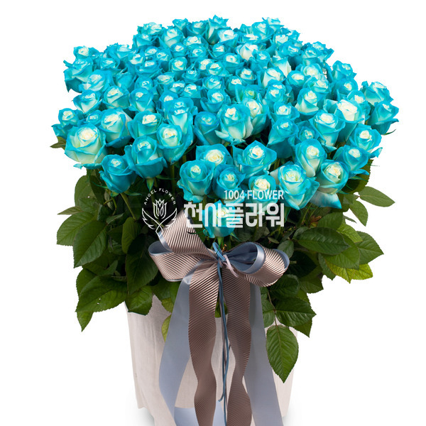 파랑이4