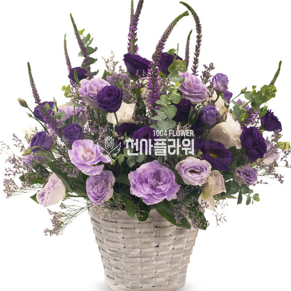 보랑이 3