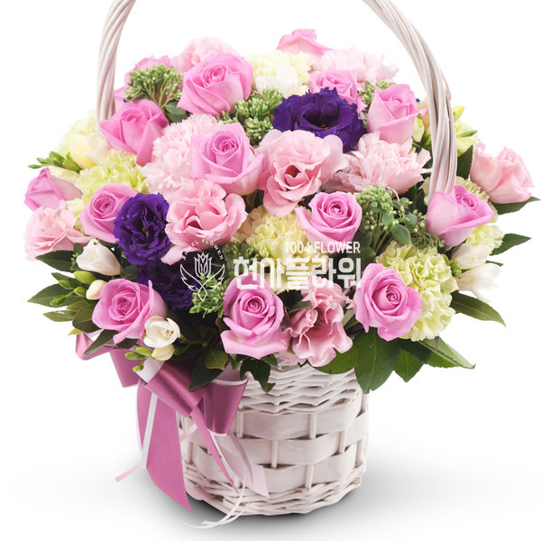 로즈 20호