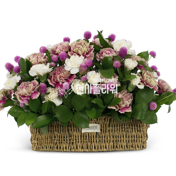보라빛향기
