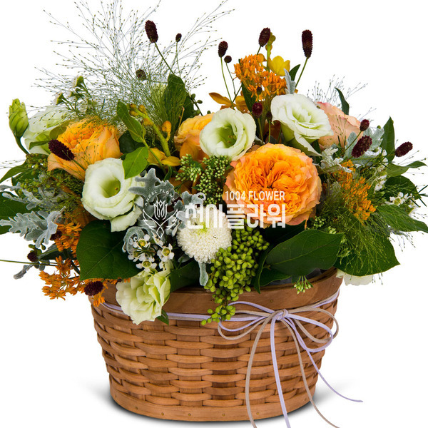 그대에게보내는사랑 a5020