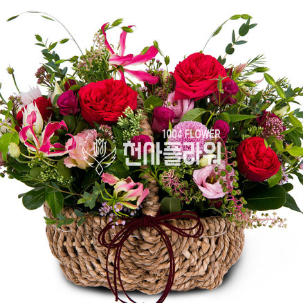 특별한분에게