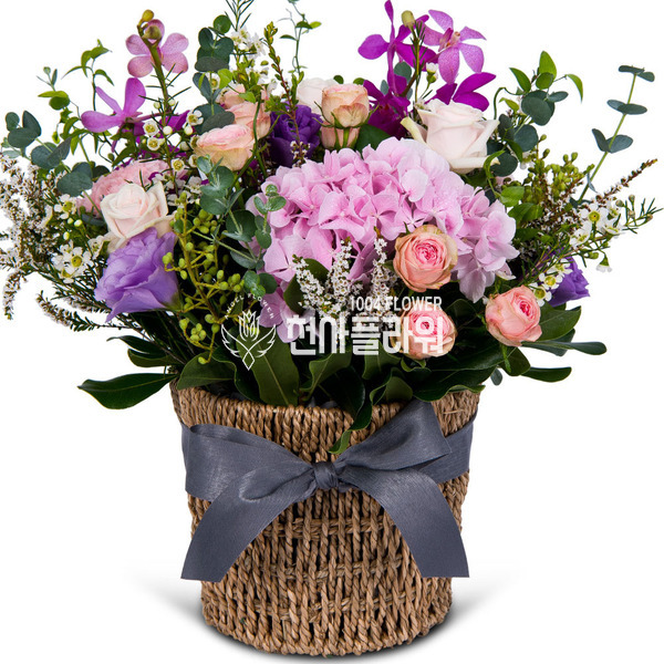 나에사랑 p1230