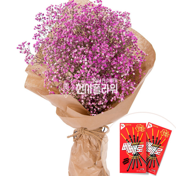 핑크안개다발 +빼빼로2개