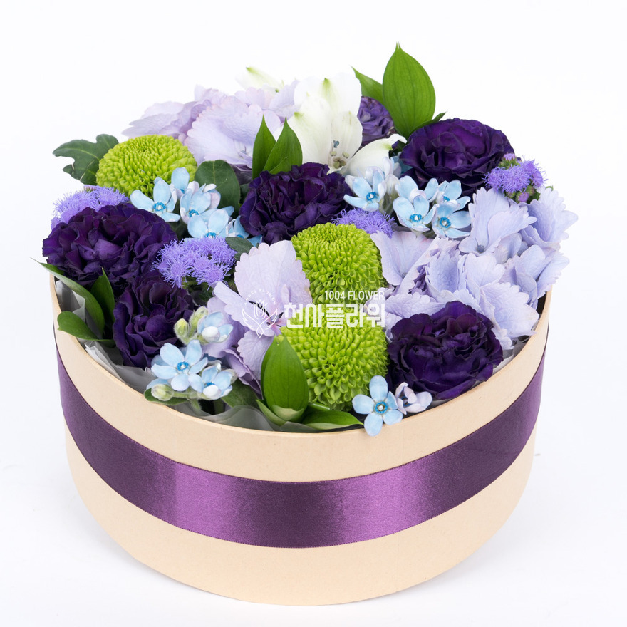 상세이미지