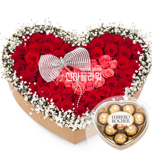레드와 핑크의 조화//초코렛