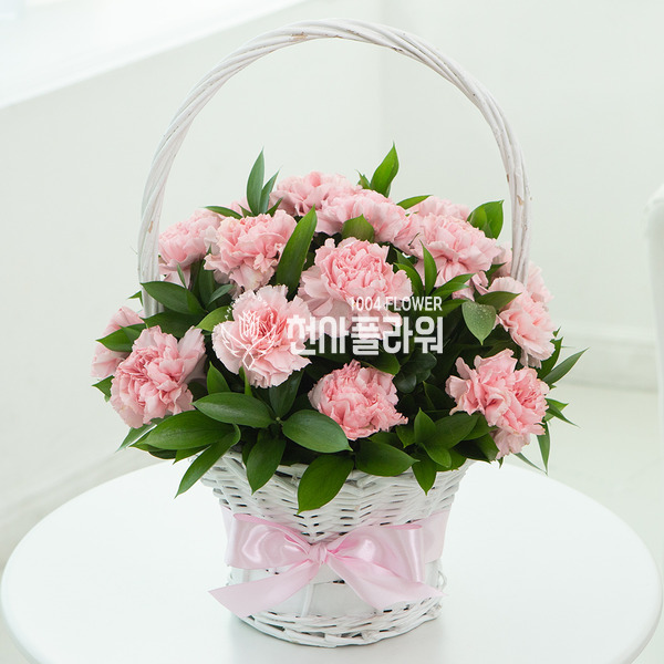 핑크 카네이션
