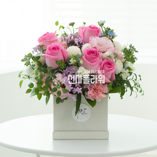사랑하는 그대에게