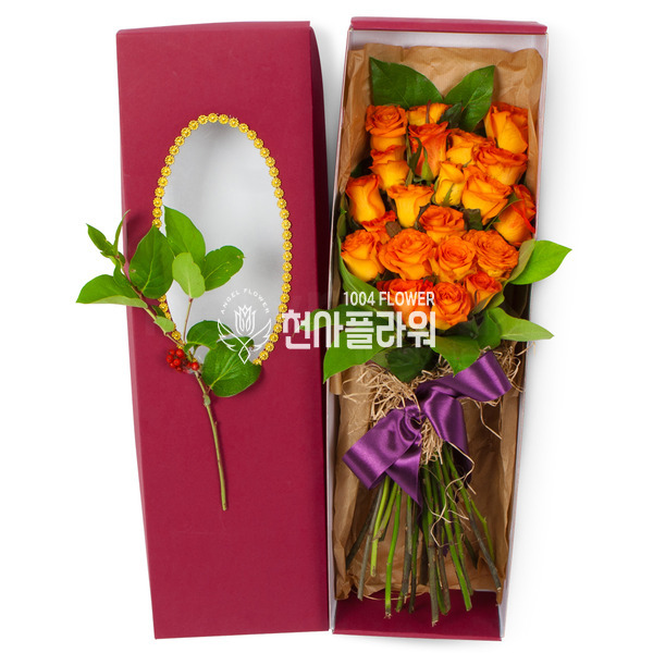 보금자리가되어줄께요