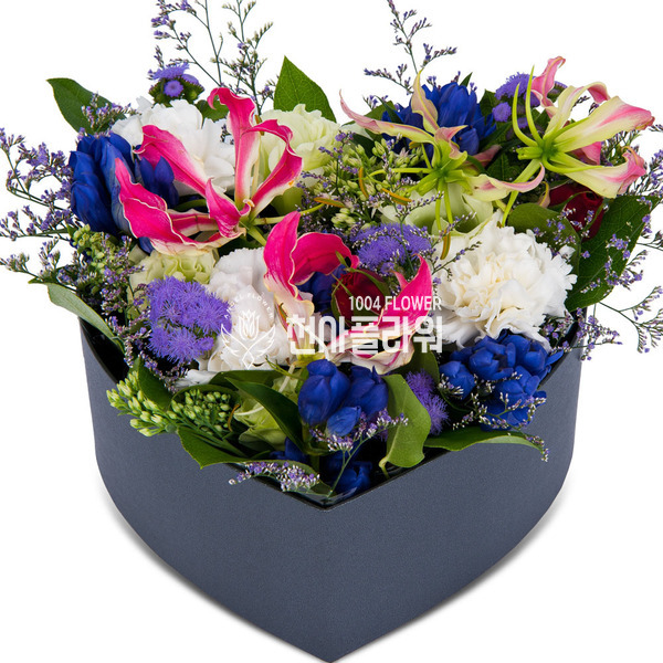 꽃상자 p3010