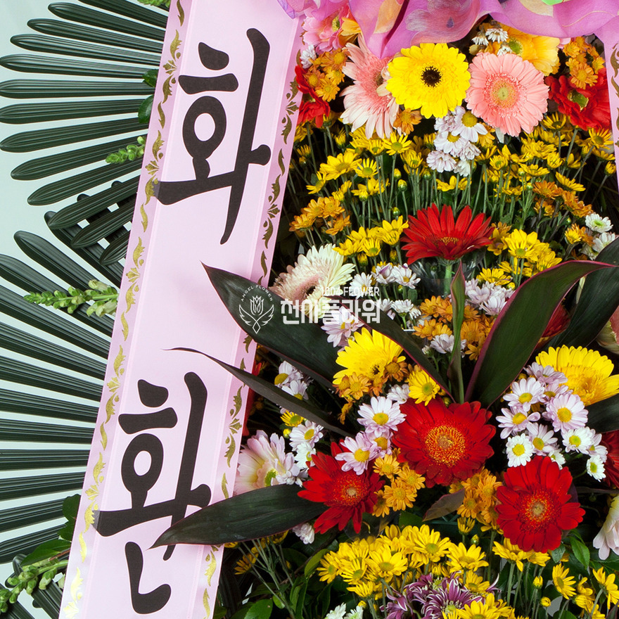 상세이미지