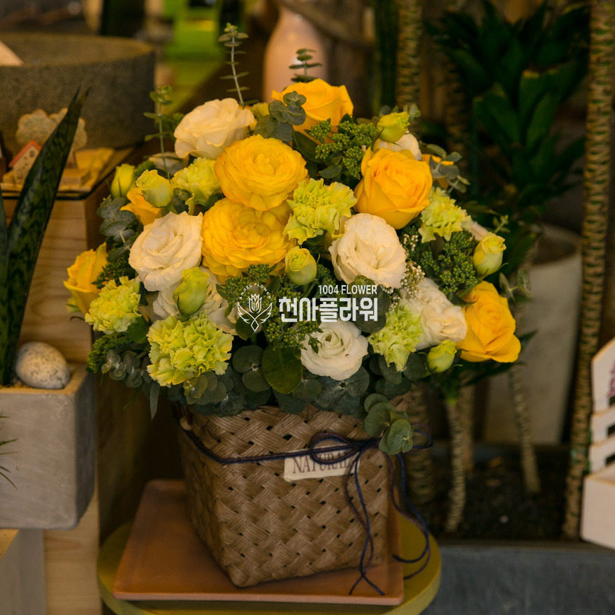 상세이미지