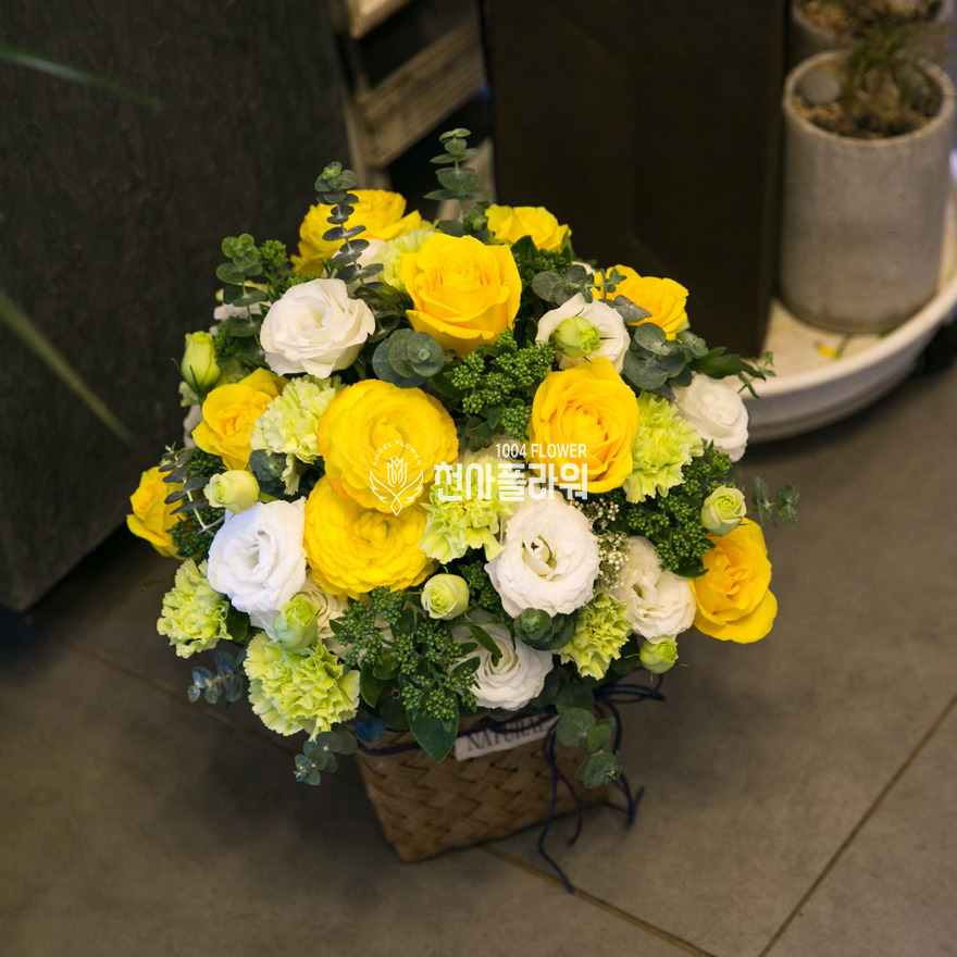 상세이미지