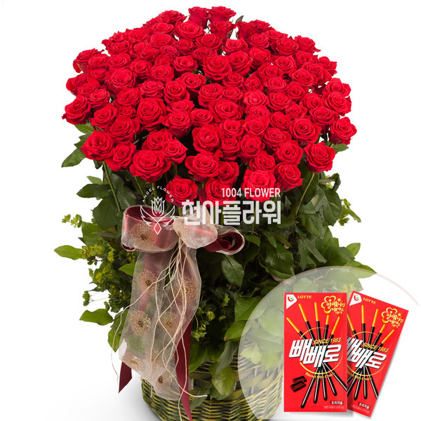 빼빼로데이 기념 백송이