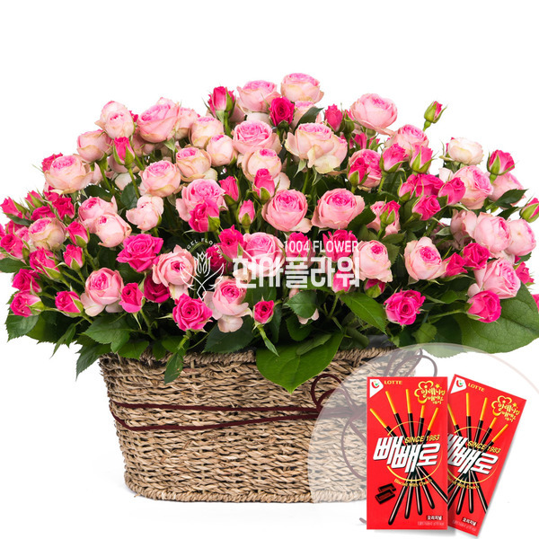 로망스+빼빼로