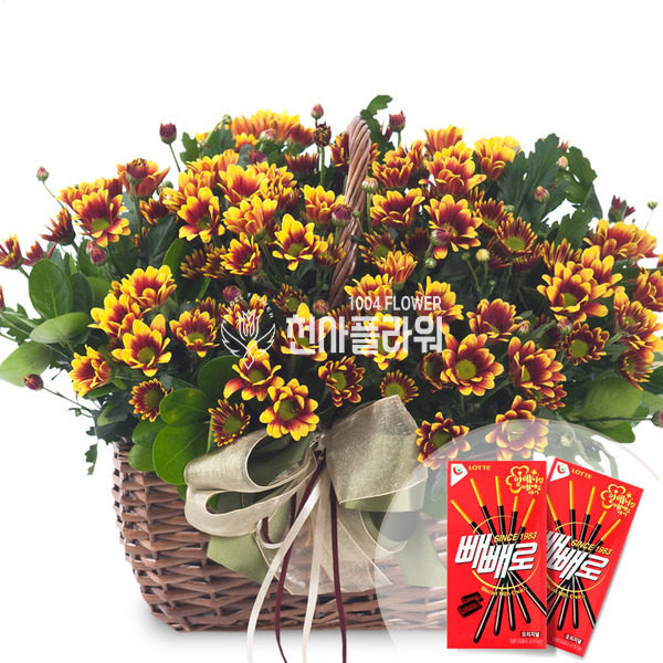 빼빼로꽃바구니(7)