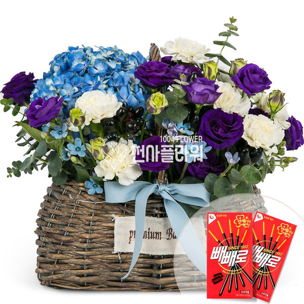 프로방스+빼빼로2개
