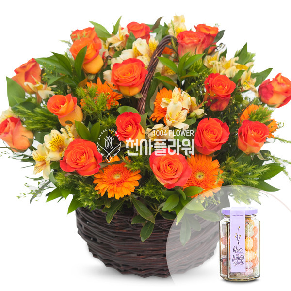 꽃행복273번