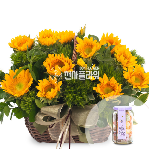 황금시대(초콜릿 & 캔디포함)