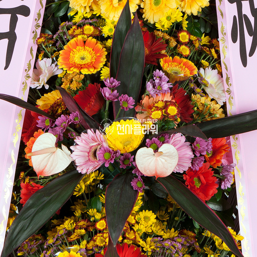 상세이미지