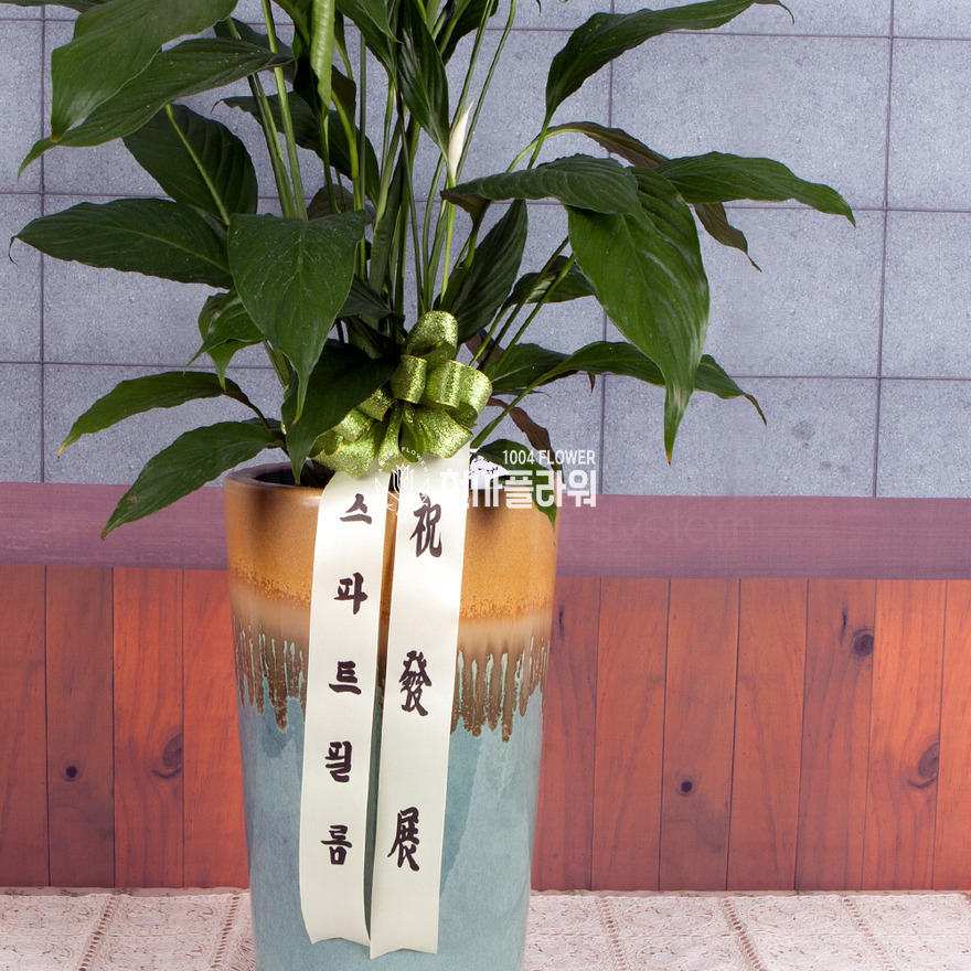 상세이미지